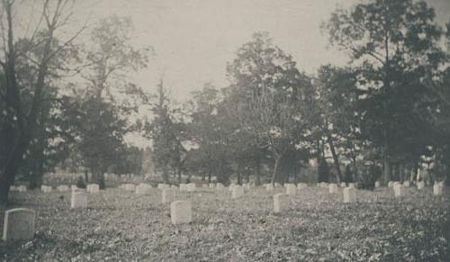 维吉尼亚州阿灵顿公墓的景色